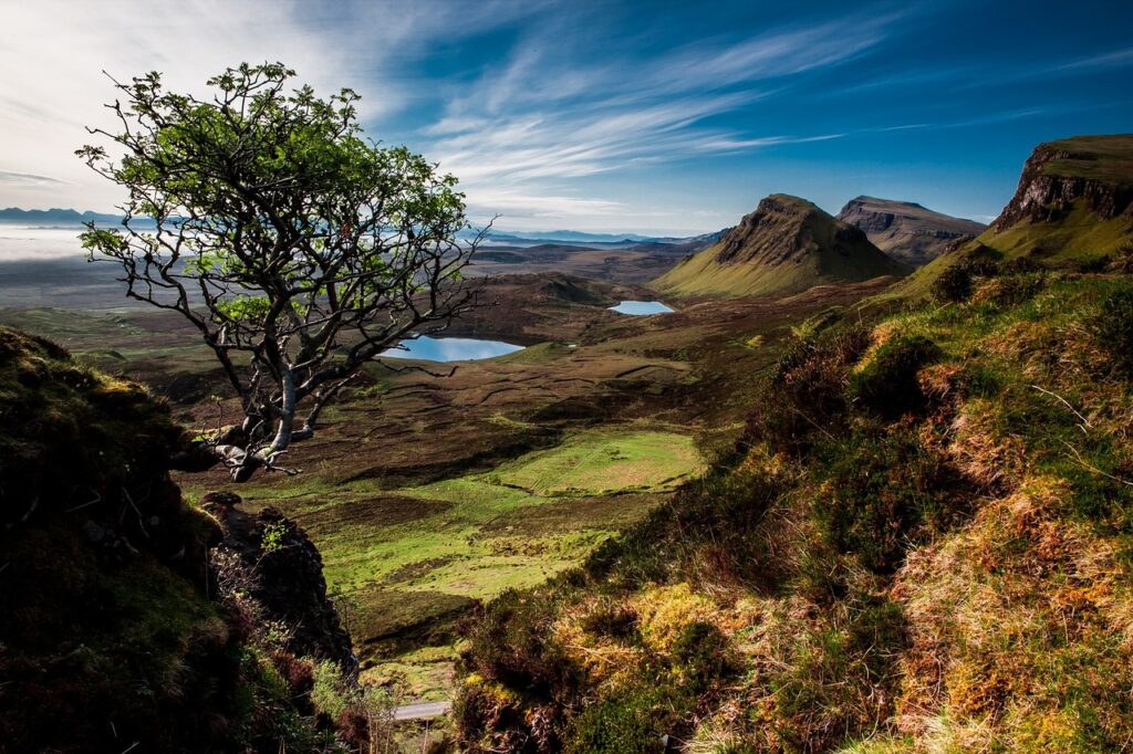 Schottland Natur Wildnis Schottland gefährliche Tiere Darauf unbedingt achten
